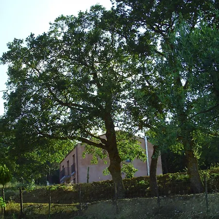 Alloggio per agriturismo San Pietro *
