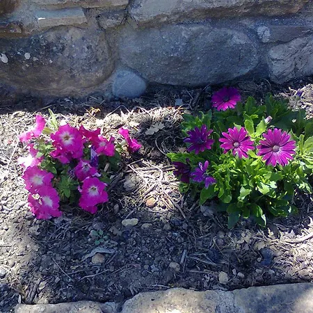 Alloggio per agriturismo San Pietro *