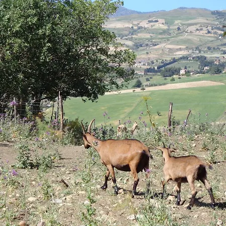 Alloggio per agriturismo San Pietro Gangi