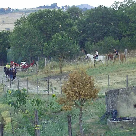 Farm stay San Pietro