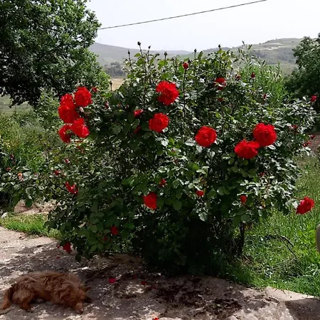 San Pietro Farm stay Gangi