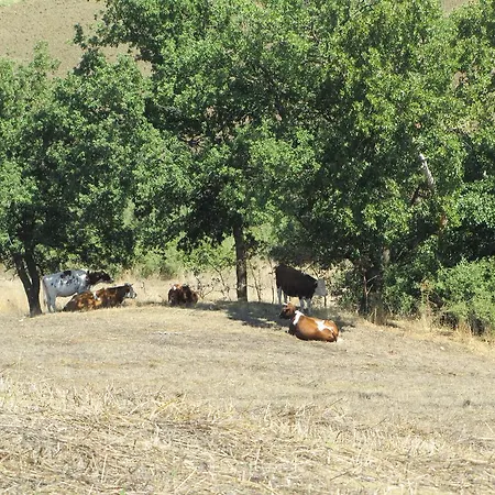 Farm stay San Pietro