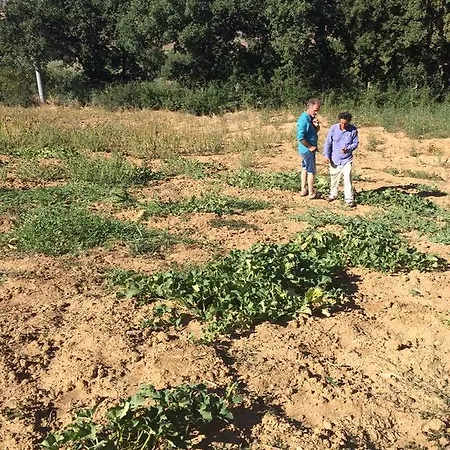 Farm stay San Pietro