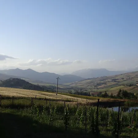 Farm stay San Pietro *