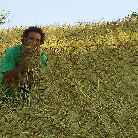 Farm stay San Pietro