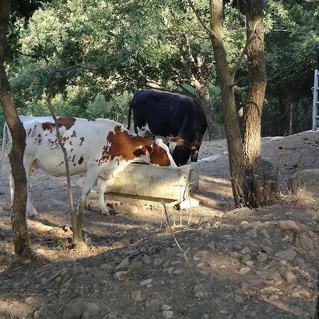 Farm stay San Pietro