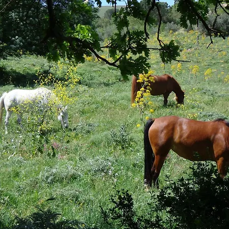 Farm stay San Pietro