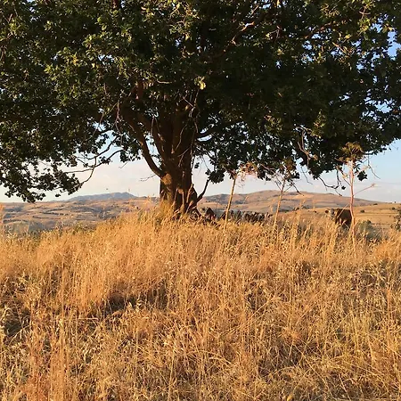 San Pietro Farm stay Gangi
